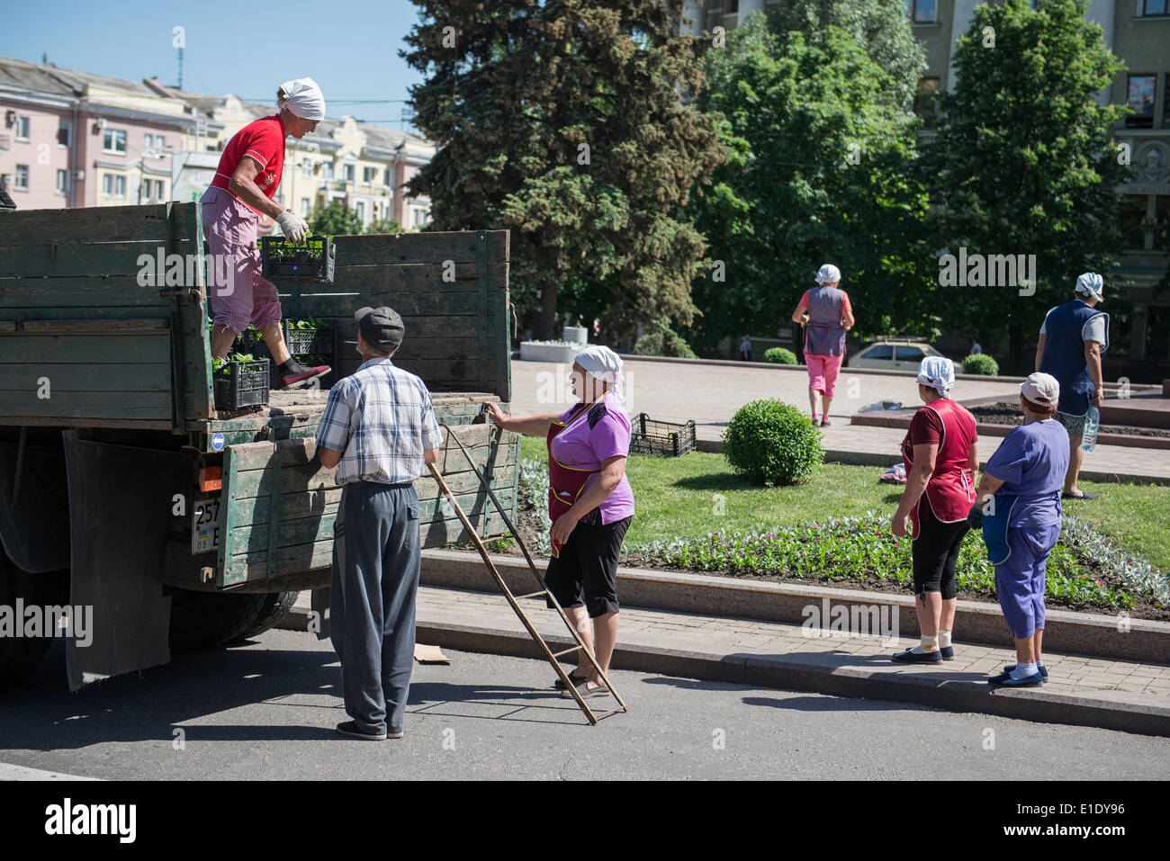 Carry grass plants hires stock photography and images Alamy