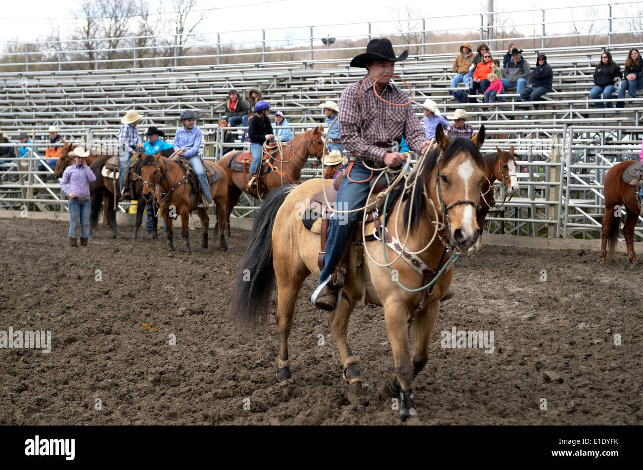 high school rodeo competitor takes his position in calf roping. Stock Photo