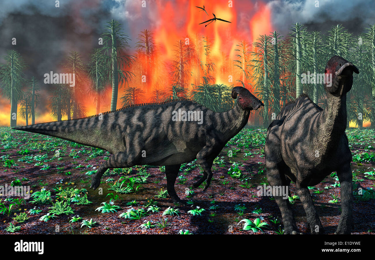 A Pair Of Parasaurolophus Dinosaurs, Fleeing From A Forrest Fire. Stock Photo