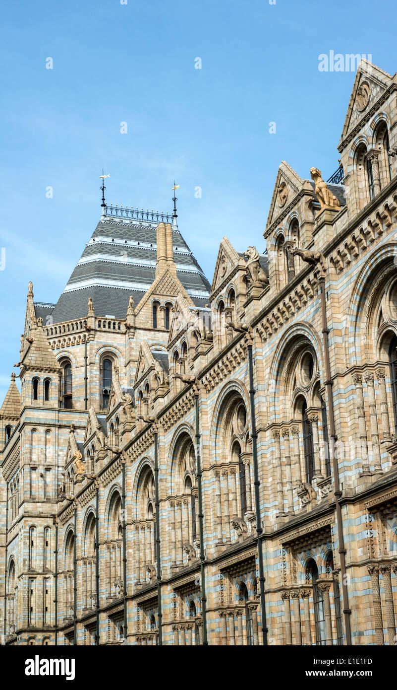Exterior of the Natural History Museum in South Kensington, London, England, UK Stock Photo