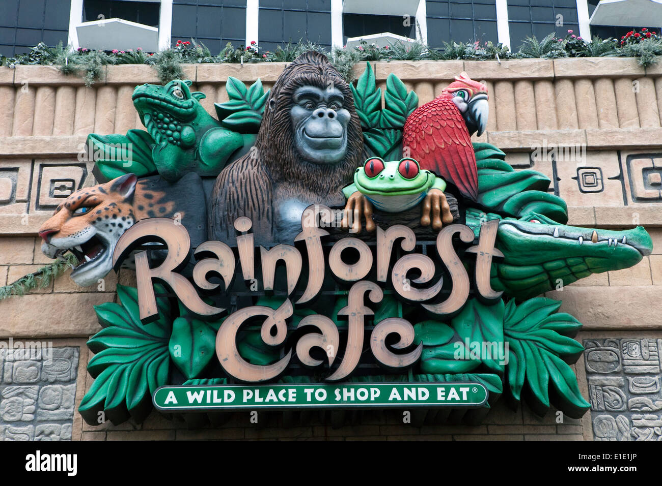 A sign is seen for the Rainforest Cafe in Atlantic City, New Jersey Stock Photo