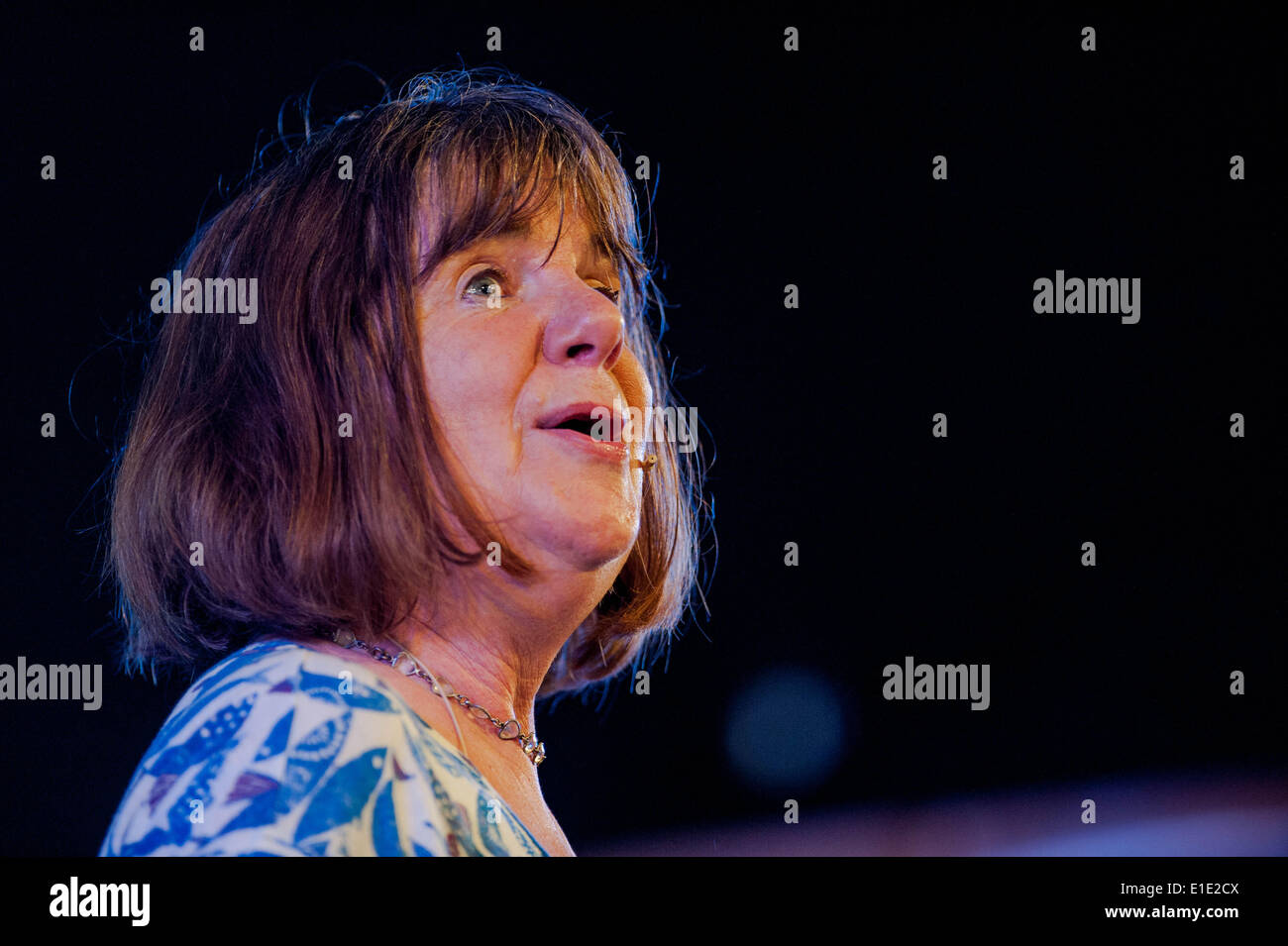 Sunday 1 June  2014, Hay on Wye, UK Pictured: Julia Donaldson Re: Hay Festival, Hay on Wye, Powys, Wales Credit:  D Legakis/Alamy Live News Stock Photo