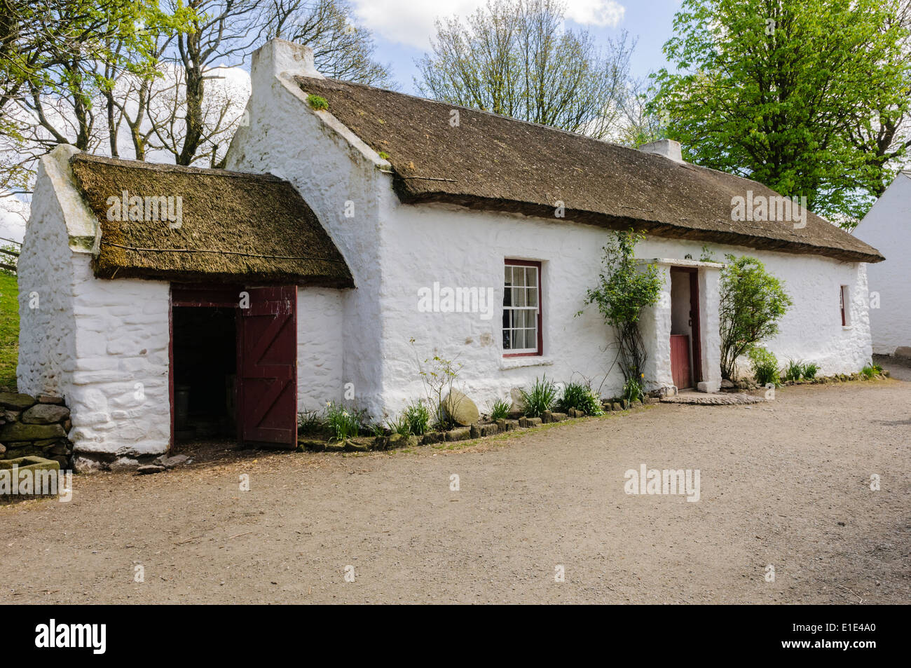 A traditional Irish rural farmhouse with thatched roof and Stock Photo