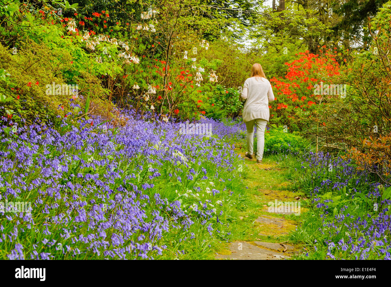 Woman walking along garden path hi-res stock photography and images - Alamy