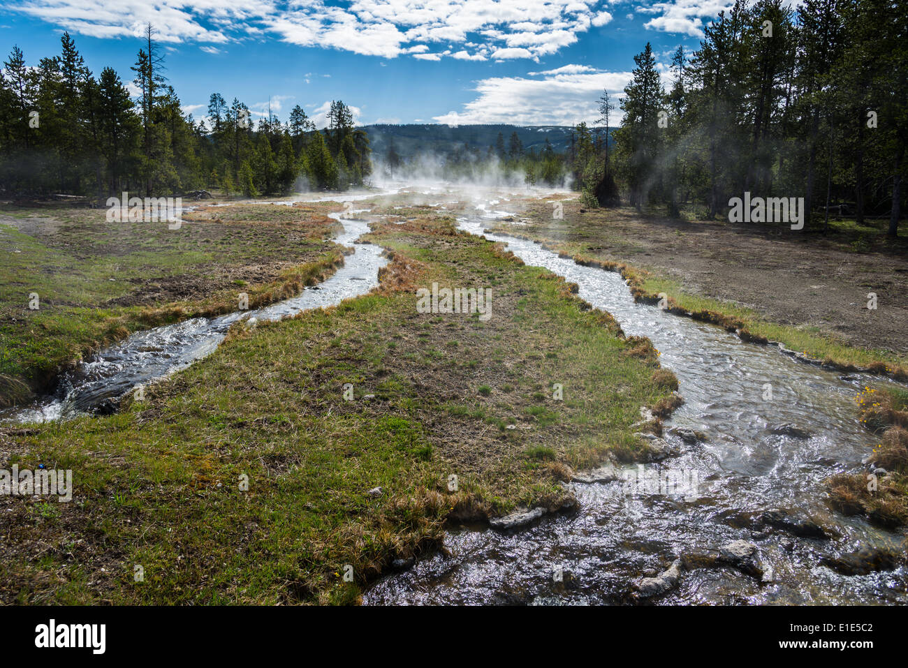 Streams flow through an open meadow. Yellowstone National Park, Wyoming, USA. Stock Photo