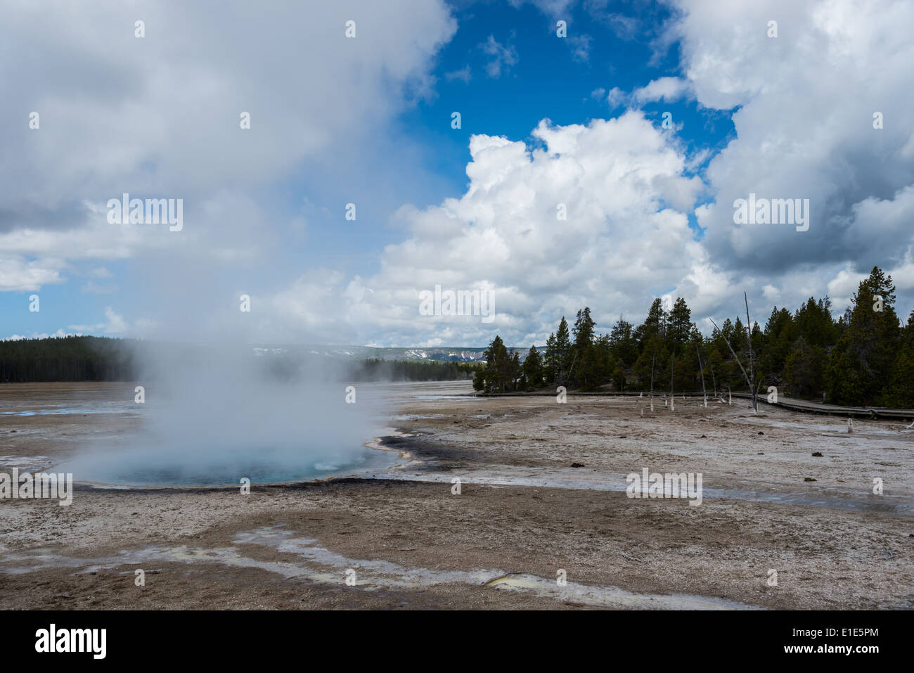 A hot spring. Yellowstone National Park, Wyoming, USA. Stock Photo
