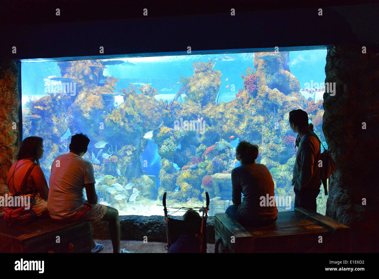 The Malta National Aquarium, Qawra (IlQawra), Saint Paul's Bay (San