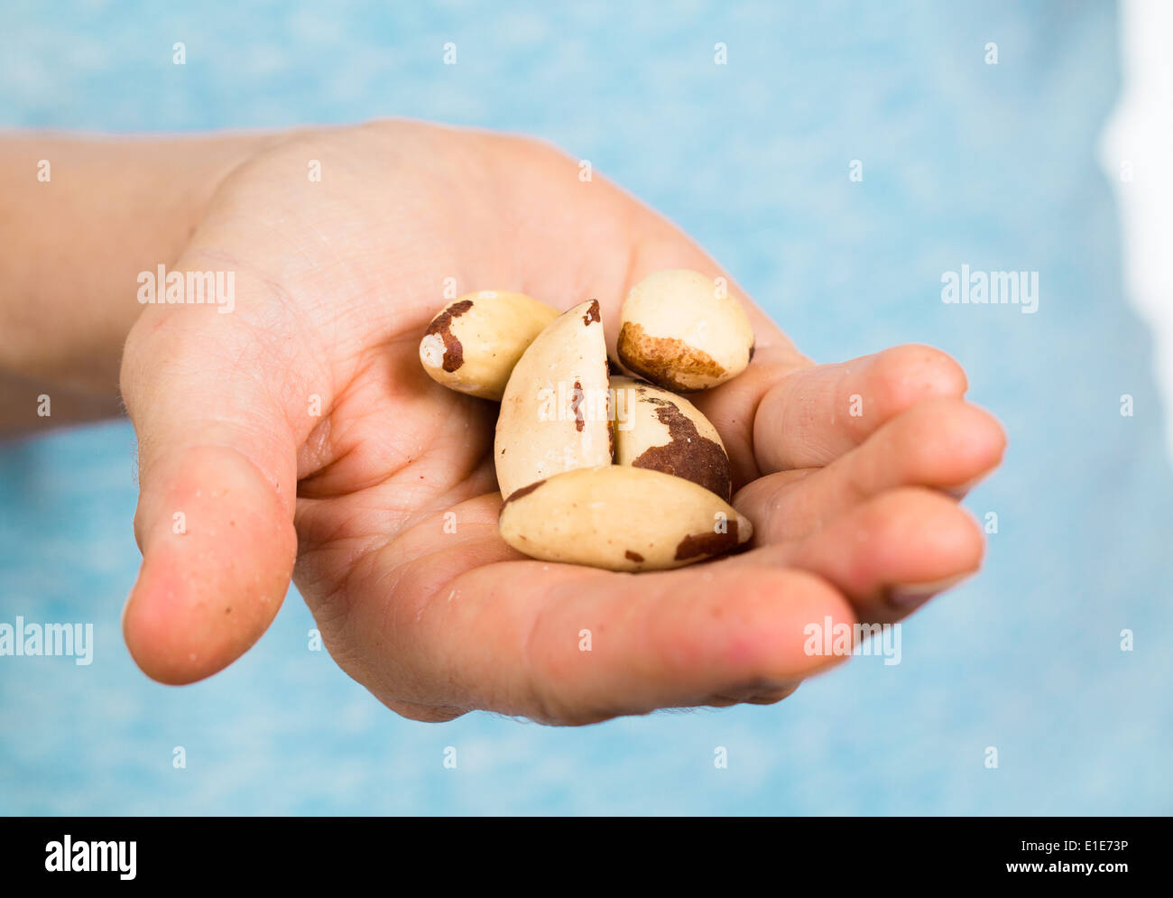 Hand holding a heap of organic brazil nuts Stock Photo