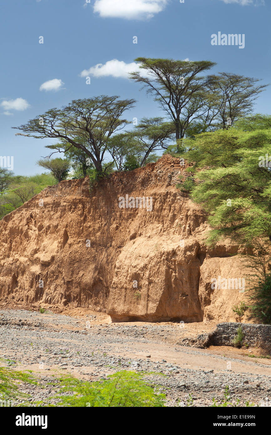 An empty river bed between Marigat and Lake Baringo in Kenya during dry season Stock Photo