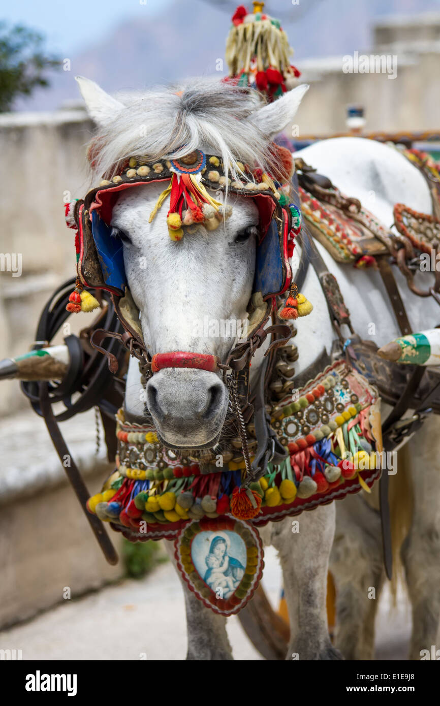 Sicilian horse cart hi-res stock photography and images - Alamy