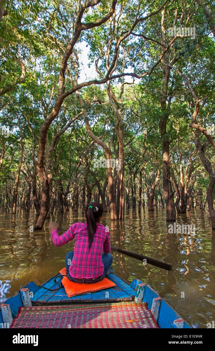 A Girl Rowing Through the Flooded Forest Near Kampong Phulk Floating Village, Siem Reap, Cambodia Stock Photo