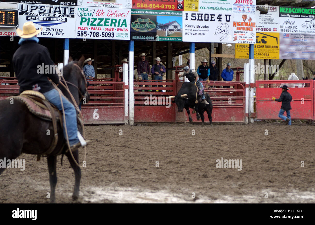 Bull rider at High School Rodeo Stock Photo - Alamy