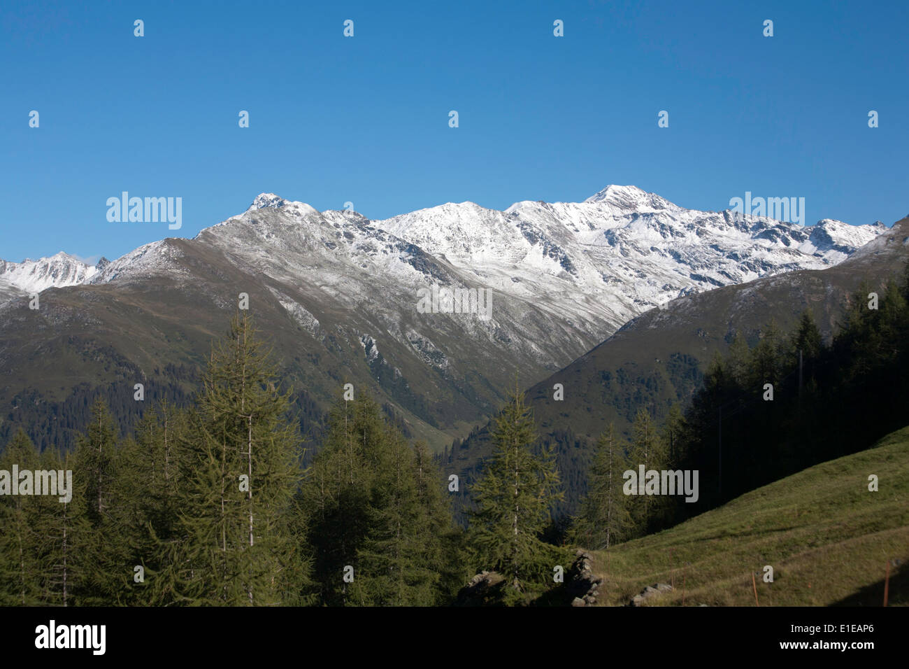 Mountain Panorama View Of The Pischahorn Above Klosters Davos From 