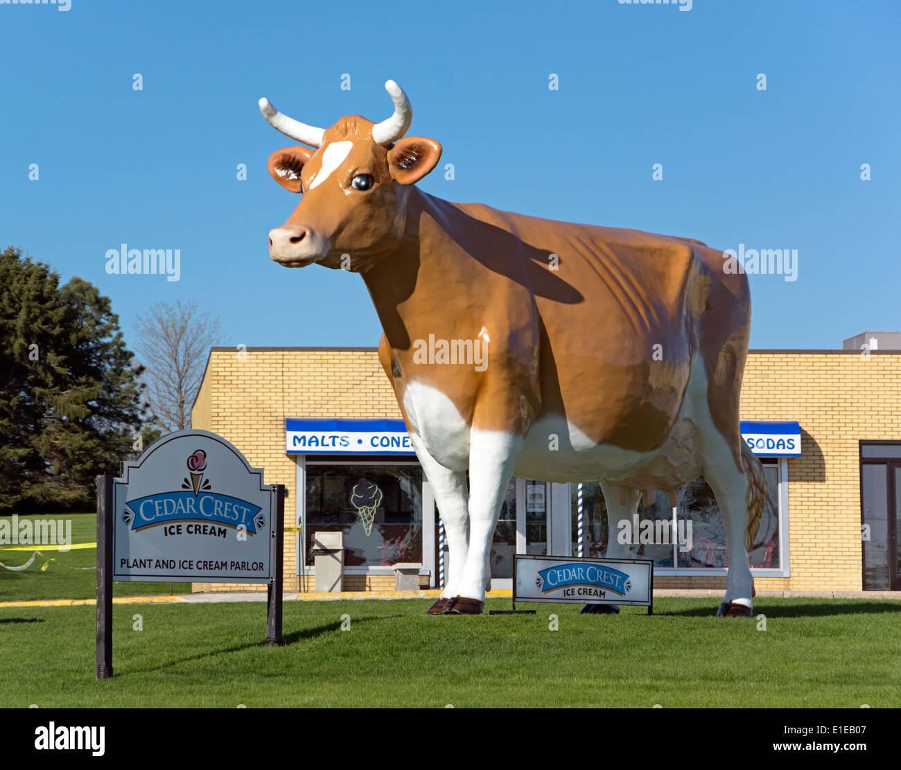 Giant cow statue advertising Cedar Crest Ice Cream Parlor in Manitowoc, Wisconsin. Stock Photo