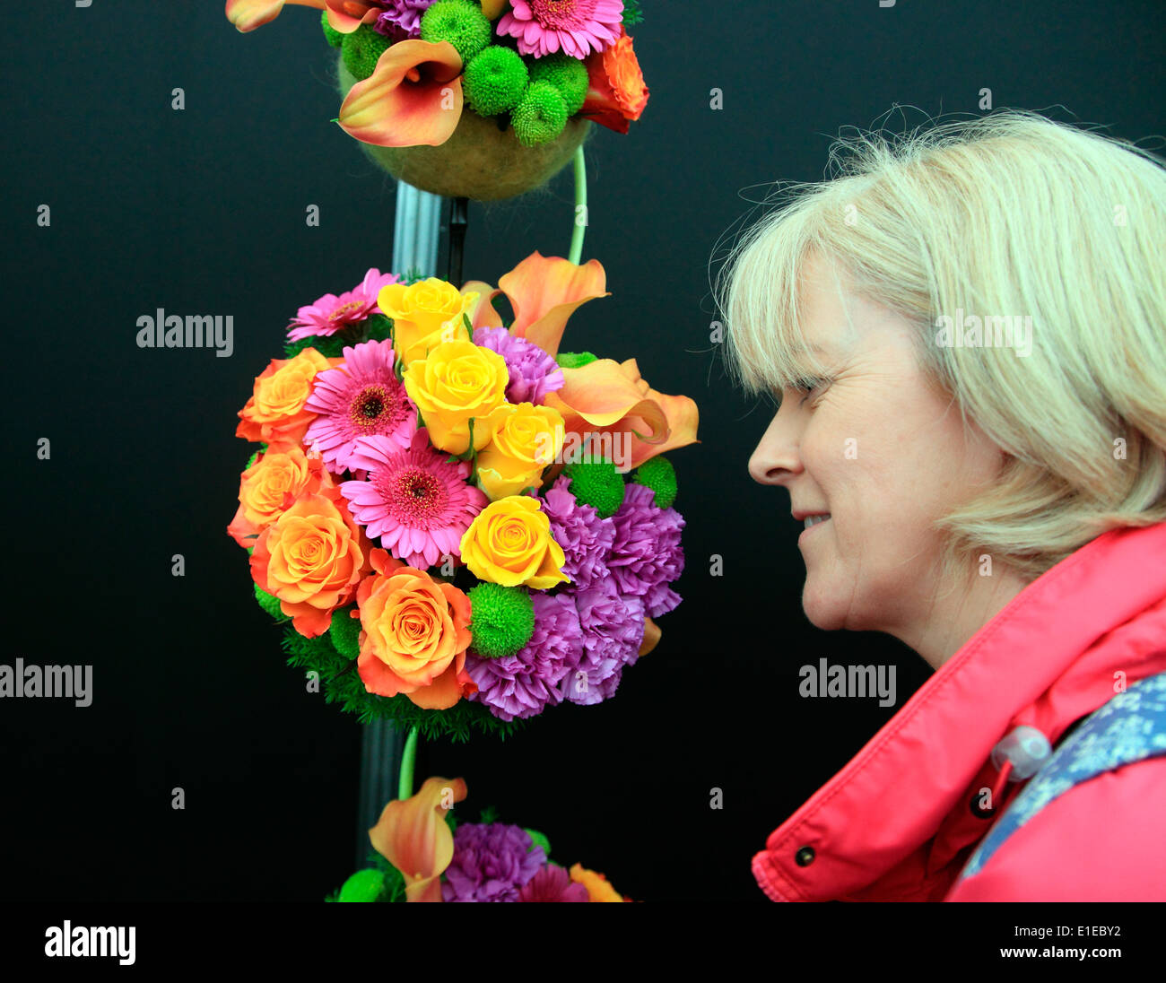 Visitor admires Naas floral display at Bloom Irelands premier gardening festival Stock Photo