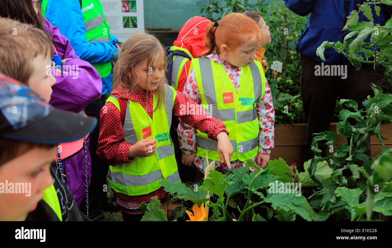 School party getting instruction on growing vegetables at Bloom, Irelands premier gardening festival Stock Photo