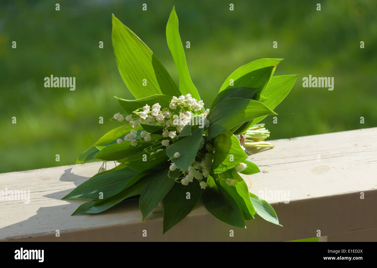 Bunch of lily hi-res stock photography and images - Alamy