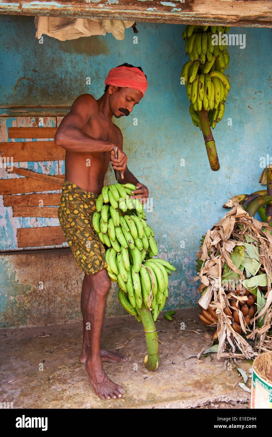 India, Kerala state, Trivandrum or Thiruvananthapuram, Kerala capital, fruit market Stock Photo