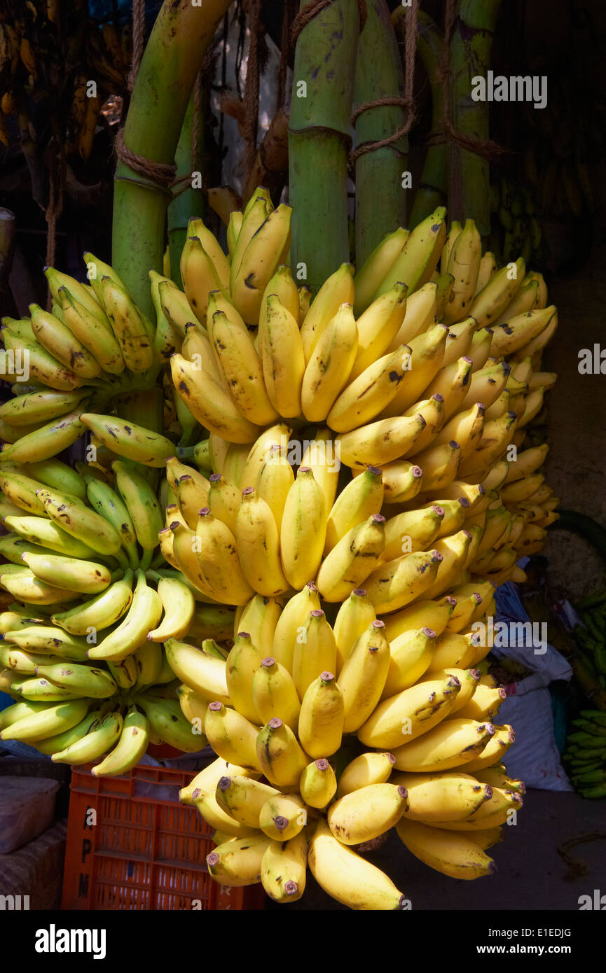 India, Kerala state, Trivandrum or Thiruvananthapuram, Kerala capital