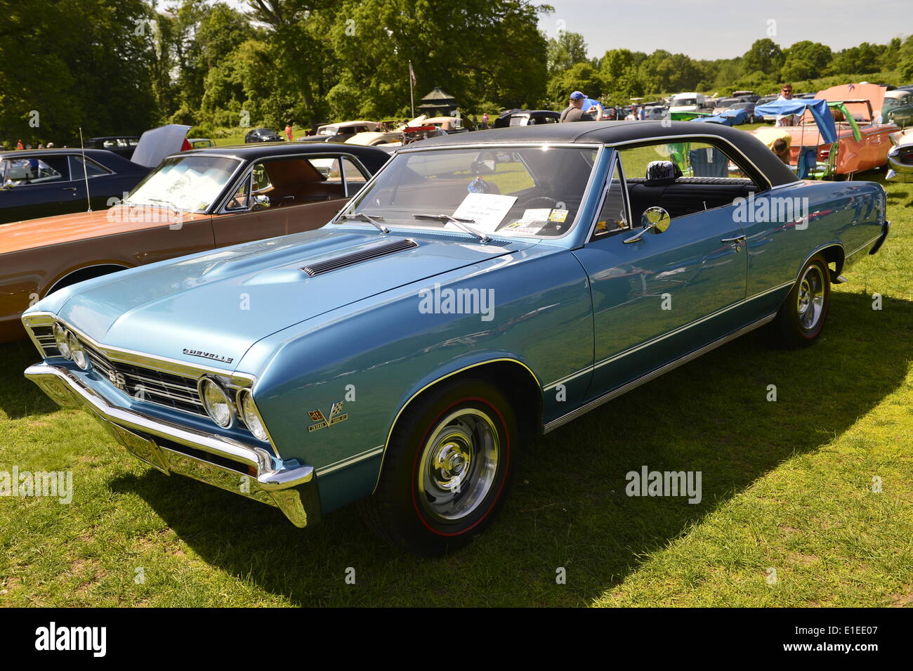 Old Westbury, New York, USA. 01st June, 2014. Old Westbury, New York, U.S. - June 1, 2014 - A blue 1967 Chevrolet Chevelle SS 396, owner Artie Stavros, is an entry at the Antique and Collectible Auto Show held on the historic grounds of elegant Old Westbury Gardens in Long Island, and sponsored by Greater New York Region AACA Antique Automobile Club of America. Credit:  Ann E Parry/Alamy Live News Stock Photo