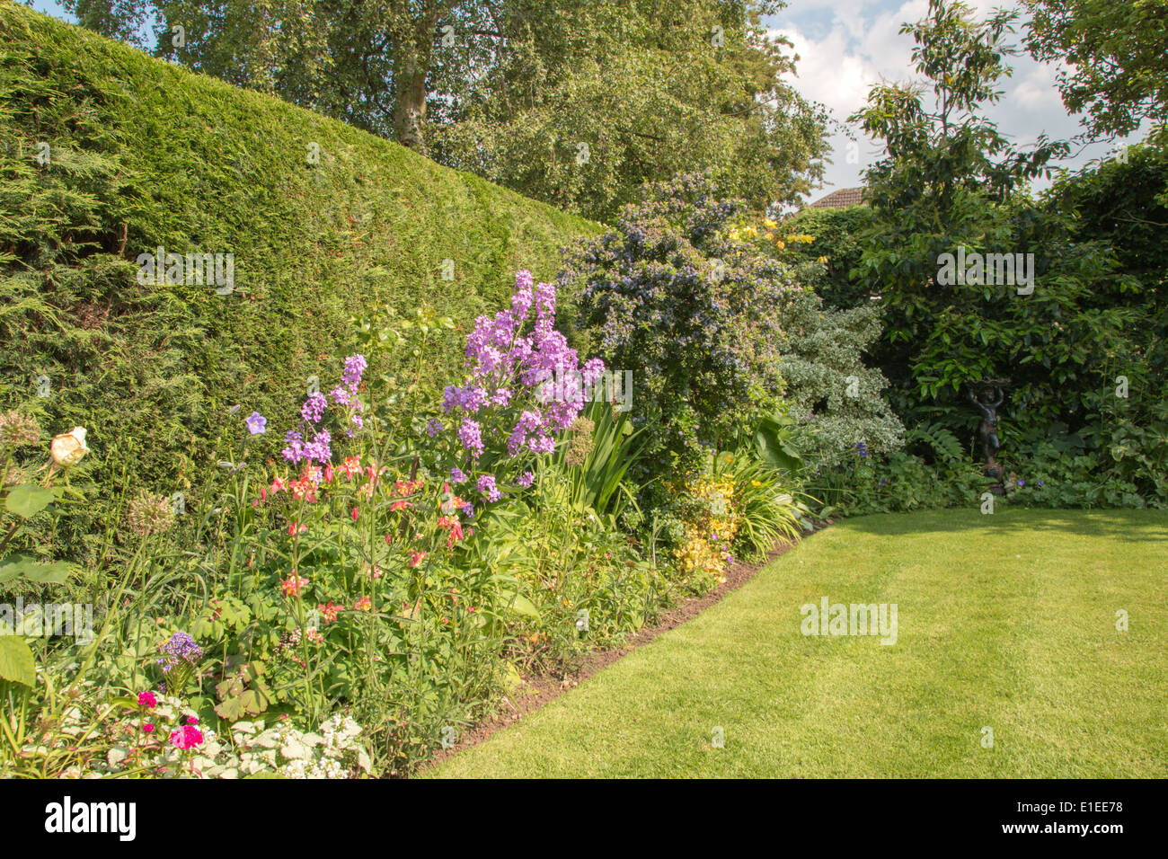 A straight border in an English urban garden with lawn Stock Photo Alamy