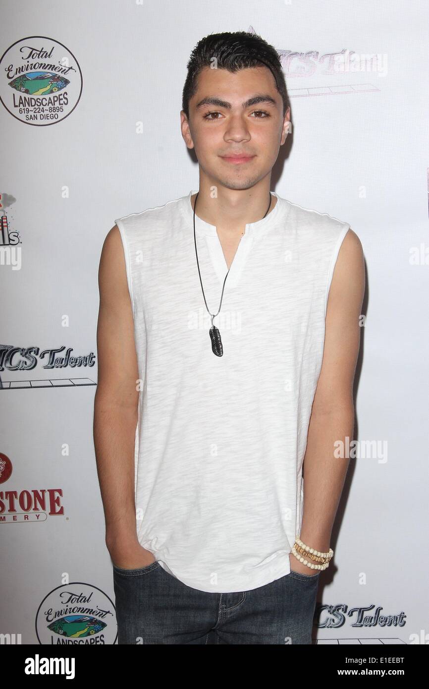 Los Angeles, California, USA. 1st June, 2014. Adam Irigoyen attends Ryan  Ochoa's Swagged Out 18th Birthday Party at The Avalon on June 1st, 2014 in  Los Angeles, California .USA. Credit: TLeopold/Globe  Photos/ZUMAPRESS.com/Alamy