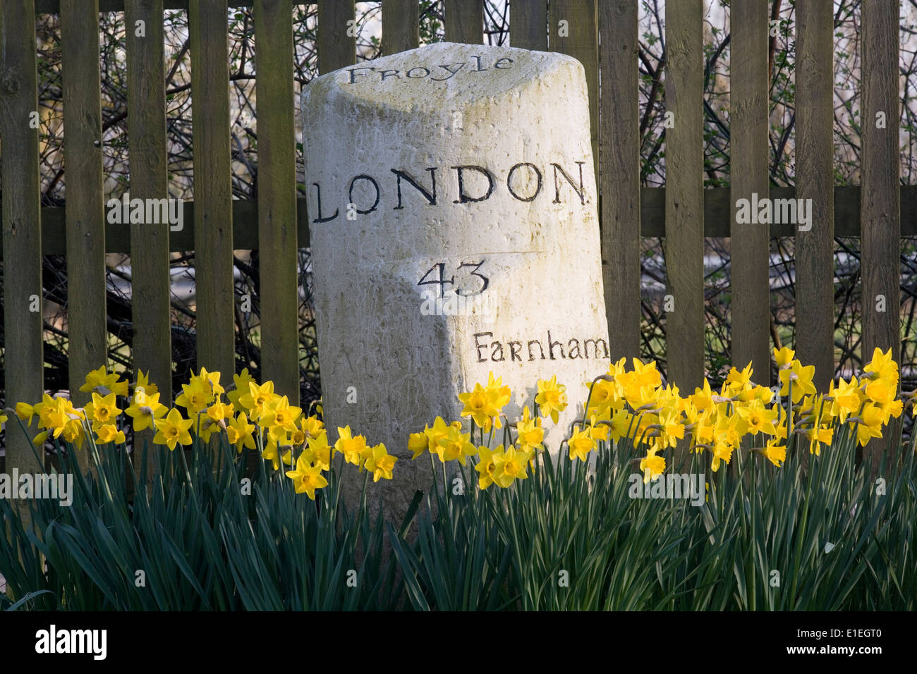 Roadside milestone with daffodils Stock Photo Alamy