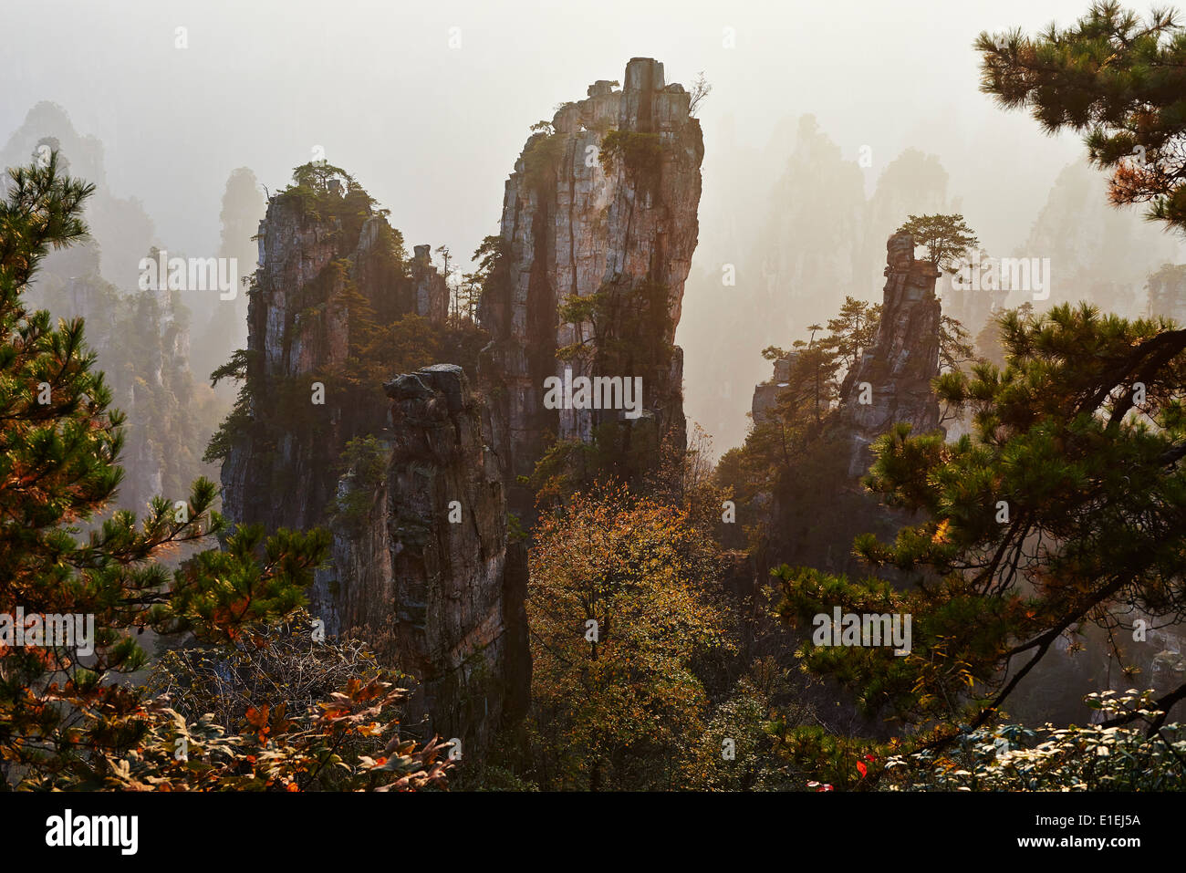 China, Hunan Province, Zhangjiajie, Wulingyuan Scenic Area, Zhangjiajie National Forest Park China, Hunan Province, Zhangjiajie, Wulingyuan Scenic Area, Zhangjiajie National Forest Park