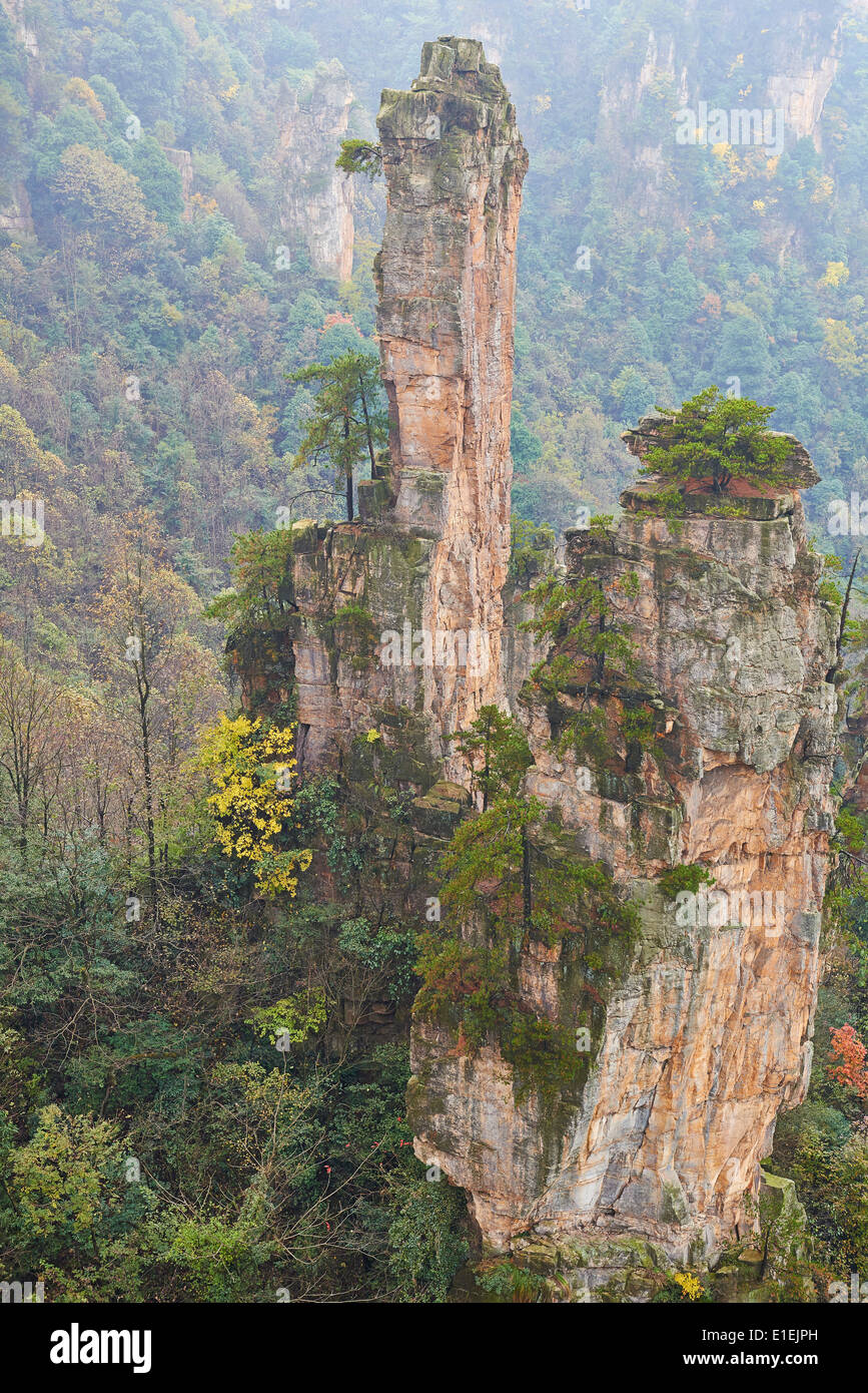 China Hunan Province Zhangjiajie Wulingyuan Scenic Area Zhangjiajie