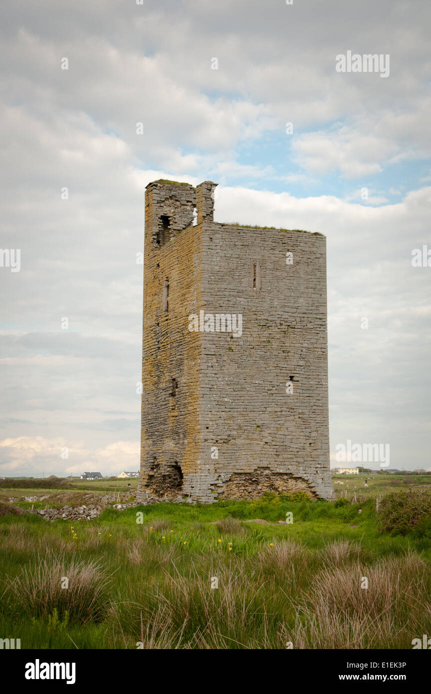 Castle Tower in Field in County Clare in the West of Ireland Stock Photo