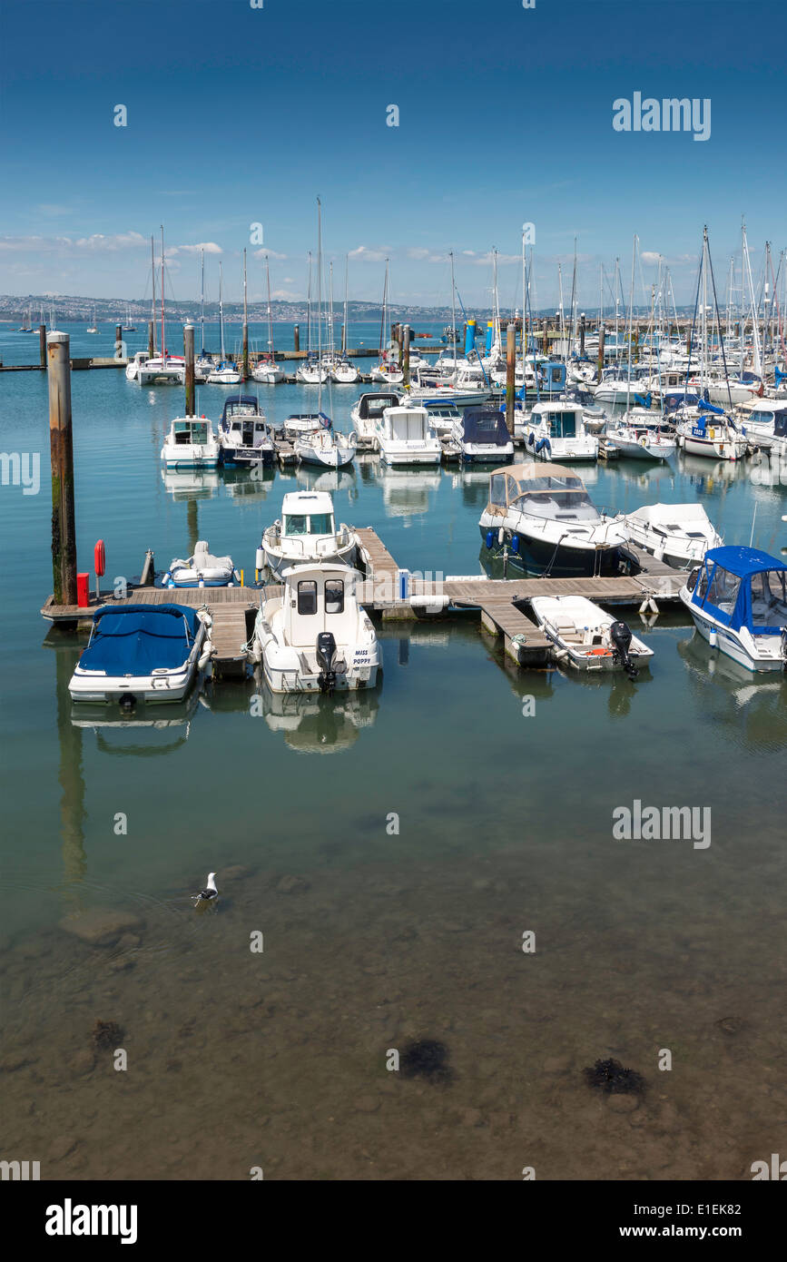 Yachts and boats moored at pontoons in Brixham harbour/marina in summertime. Devon, West of England UK Stock Photo
