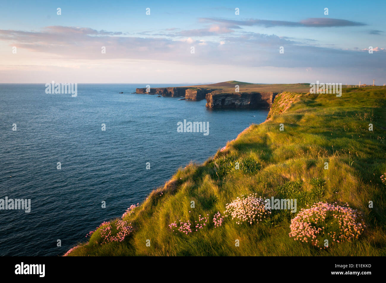Summer Evening Light on Loop Head Cliffs West of Ireland Stock Photo