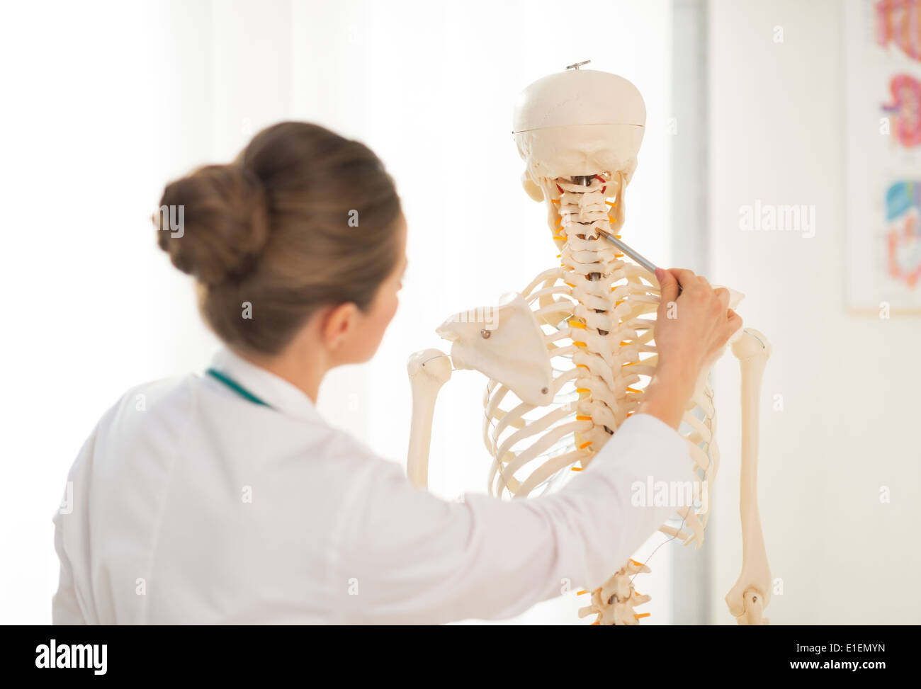 Anatomy rear view back human hi-res stock photography and images - Alamy