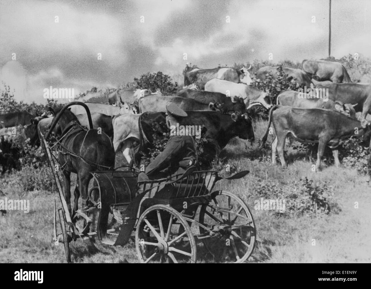 Soviet military administration Black and White Stock Photos & Images