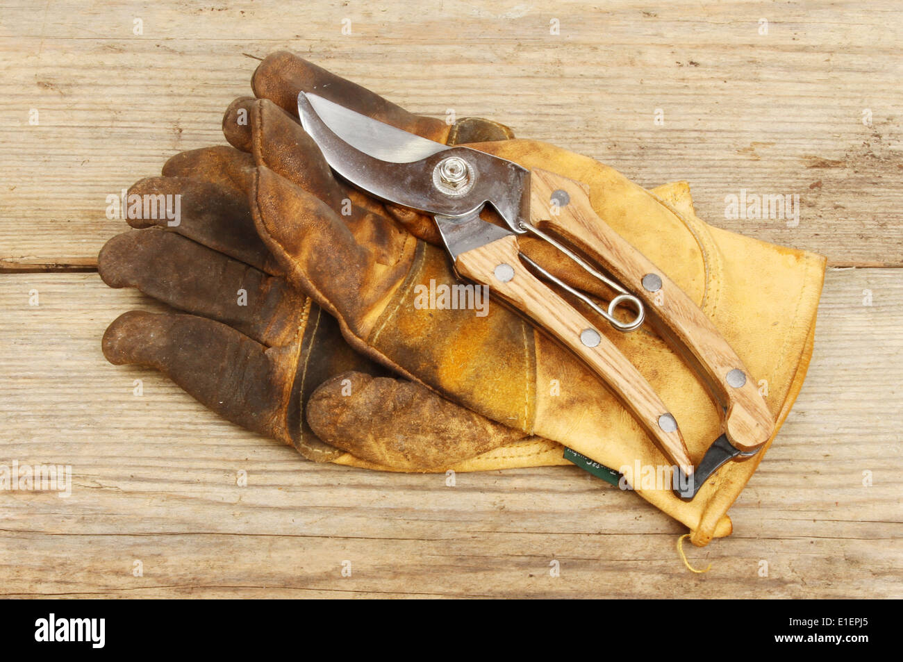 Secateurs and leather gardening gloves on a wooden board Stock Photo
