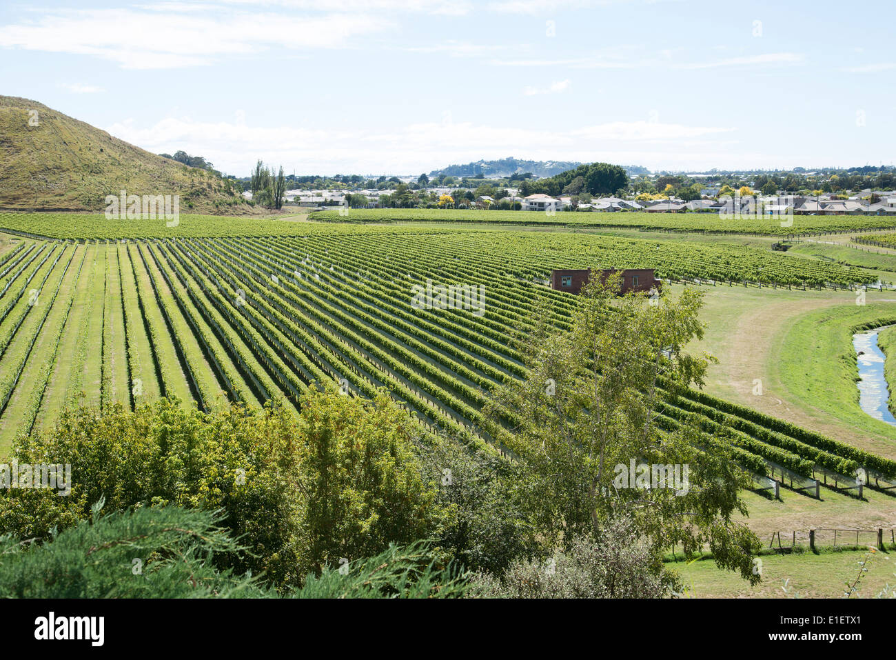 Mission Estate Winery at Taradale Hawkes Bay region North Island New Zealand Stock Photo