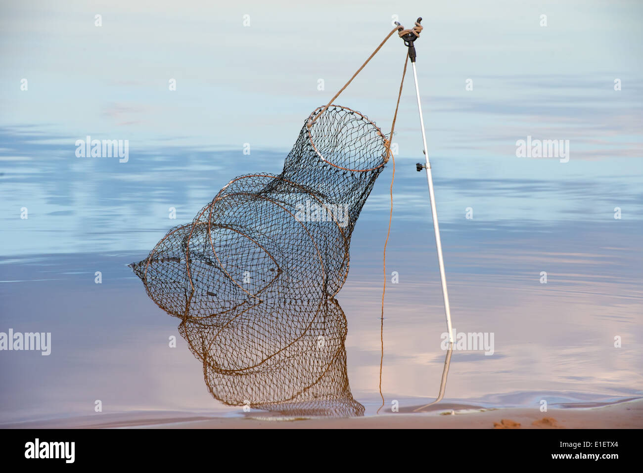 Basket for storage cage fish caught in water Stock Photo - Alamy