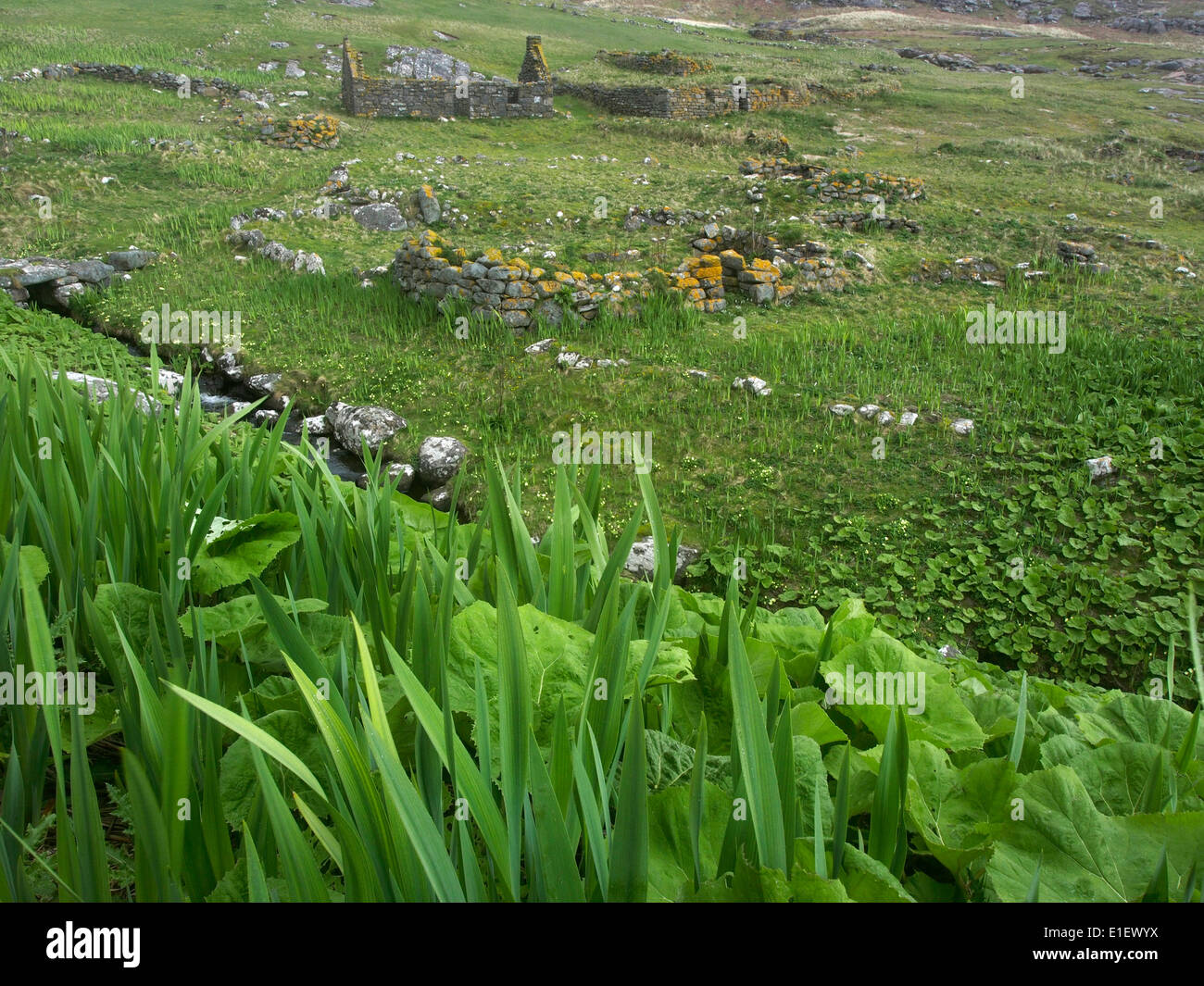 ruined buildings in deserted village, Mingulay, Outer Hebrides, Scotland Stock Photo