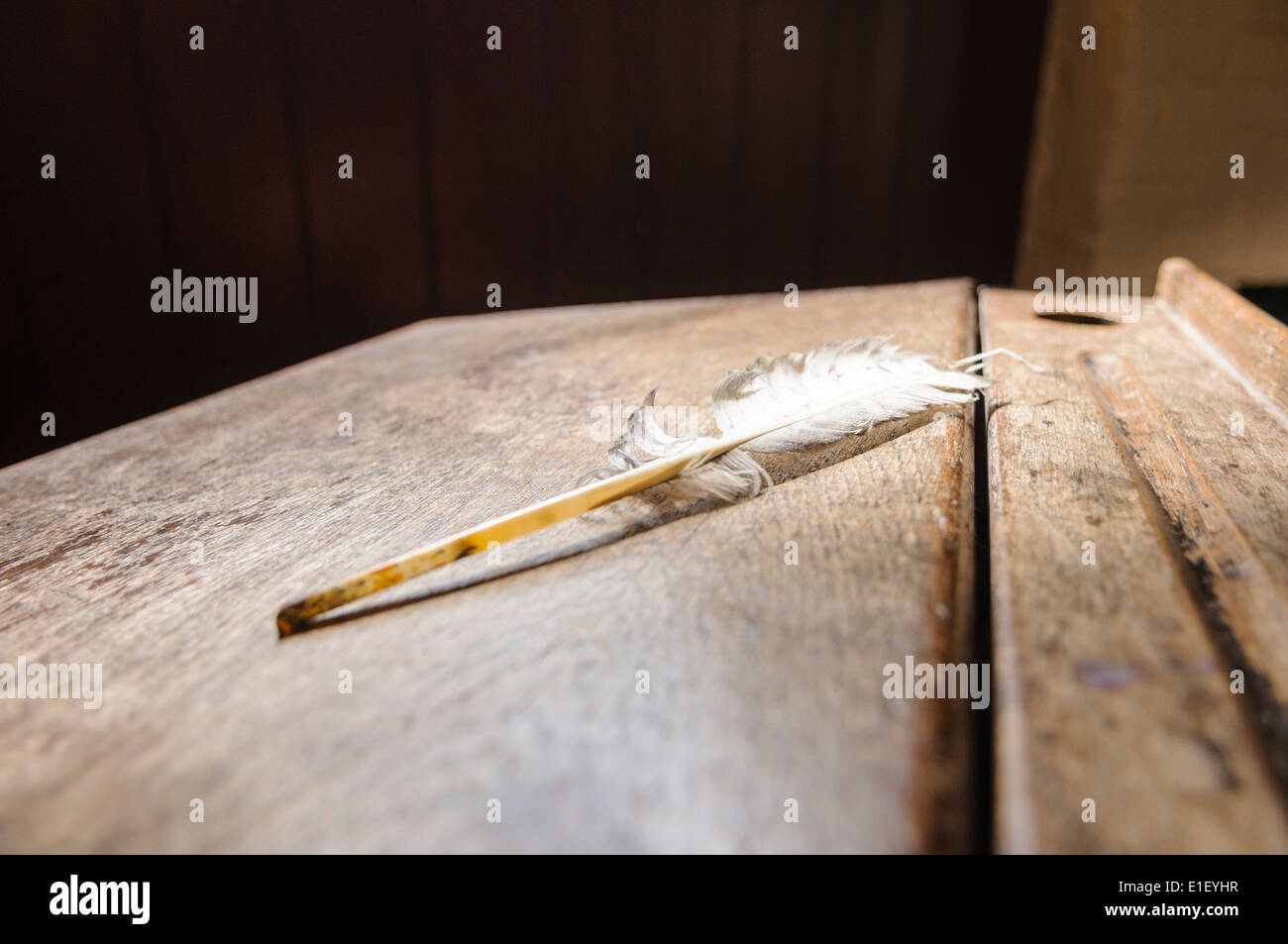 A feather quill sits on an old wooden school desk Stock Photo