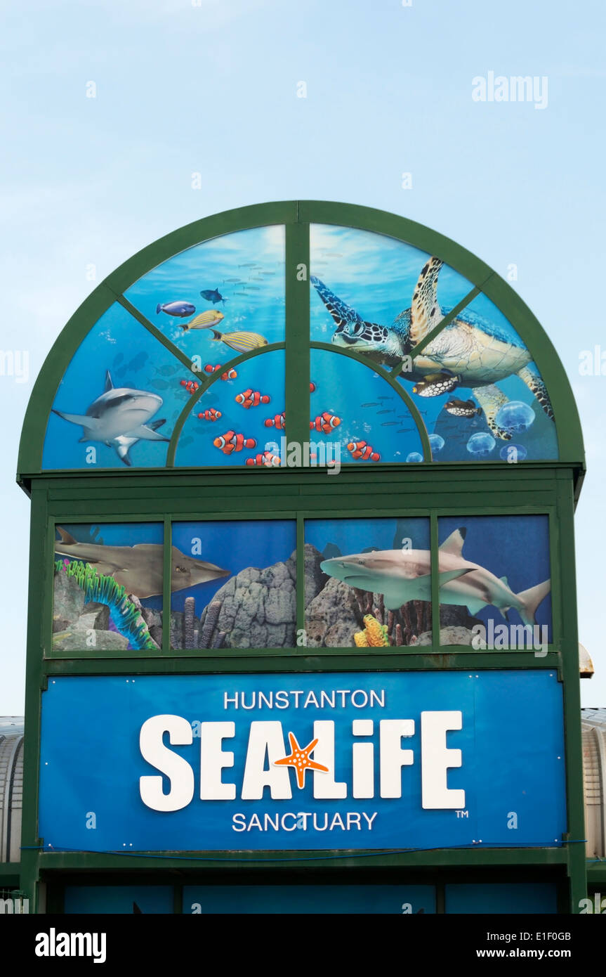Hunstanton Sea Life Sanctuary Hi res Stock Photography And Images Alamy