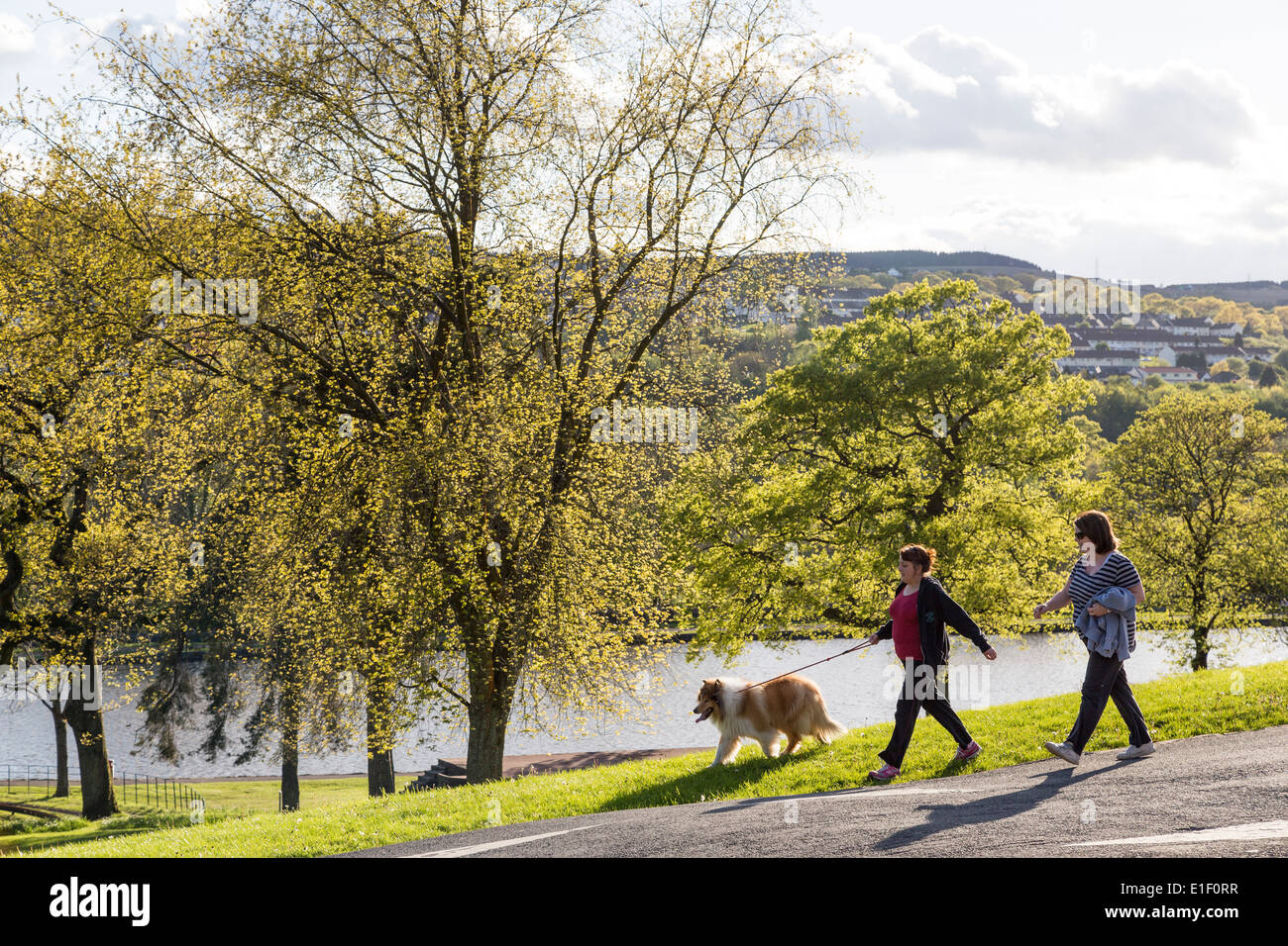 Two women walking a dog, Cyfartha Park, Merthyr Tydfil, Wales, UK Stock Photo