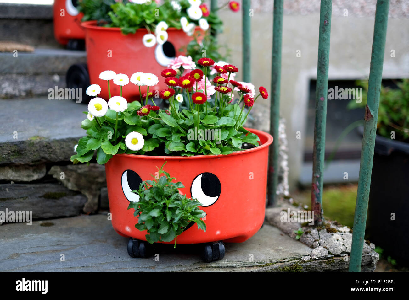 Henry vacuum cleaner used as a plant pot Stock Photo