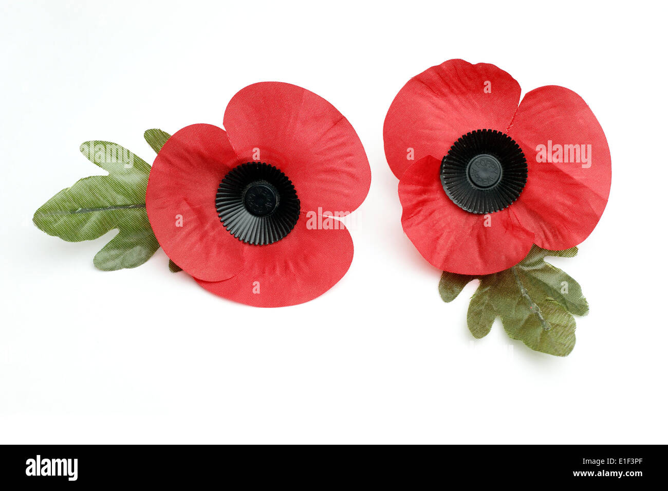 2 Poppies on a white background the poppy emblem for remembrance & memory of the fallen in wars of the past & ongoing campaigns Stock Photo