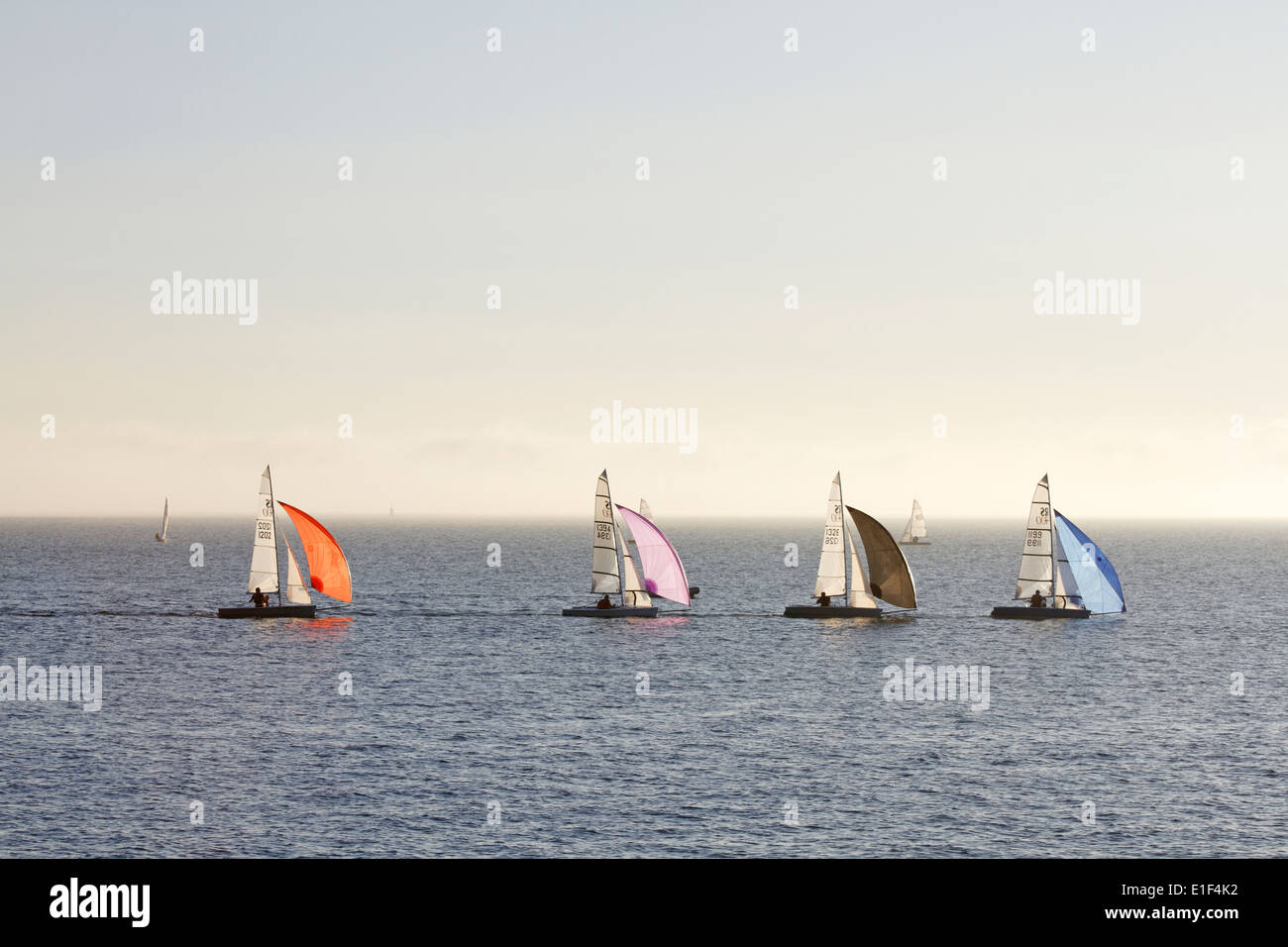 Sailing boats at Lee on Solent, Hampshire, England, UK Stock Photo Alamy