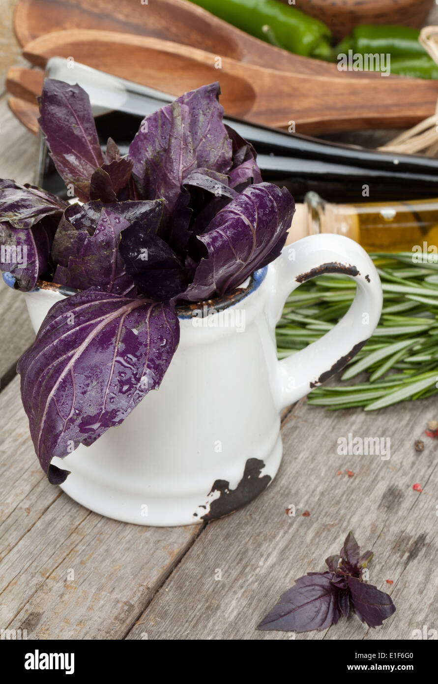 Fresh violet basil, condiment and spices Stock Photo