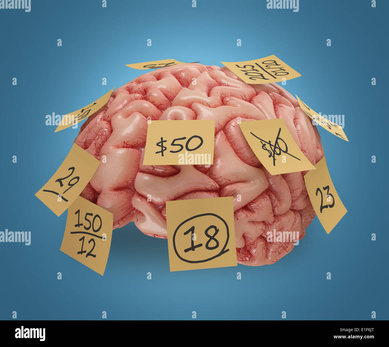 Human brain with yellow sticky notes attached. Concept of good or bad memory. Clipping path included. Stock Photo