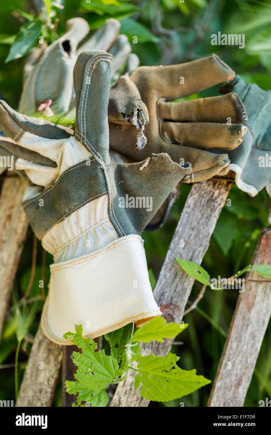 Fence decorated with old work gloves Stock Photo Alamy