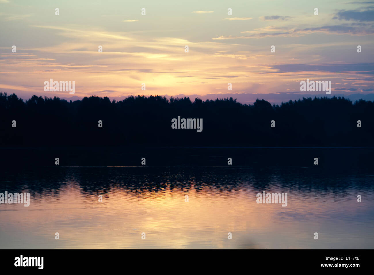 Fog landscape over flower hi-res stock photography and images - Alamy