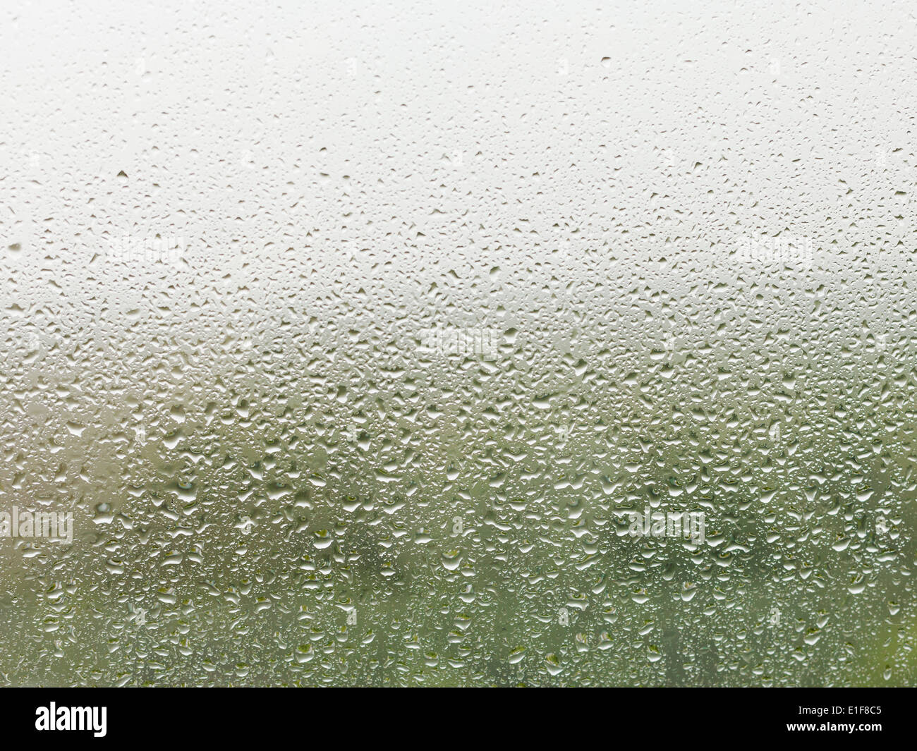 rain drops on home window pane with green forest and grey sky background Stock Photo