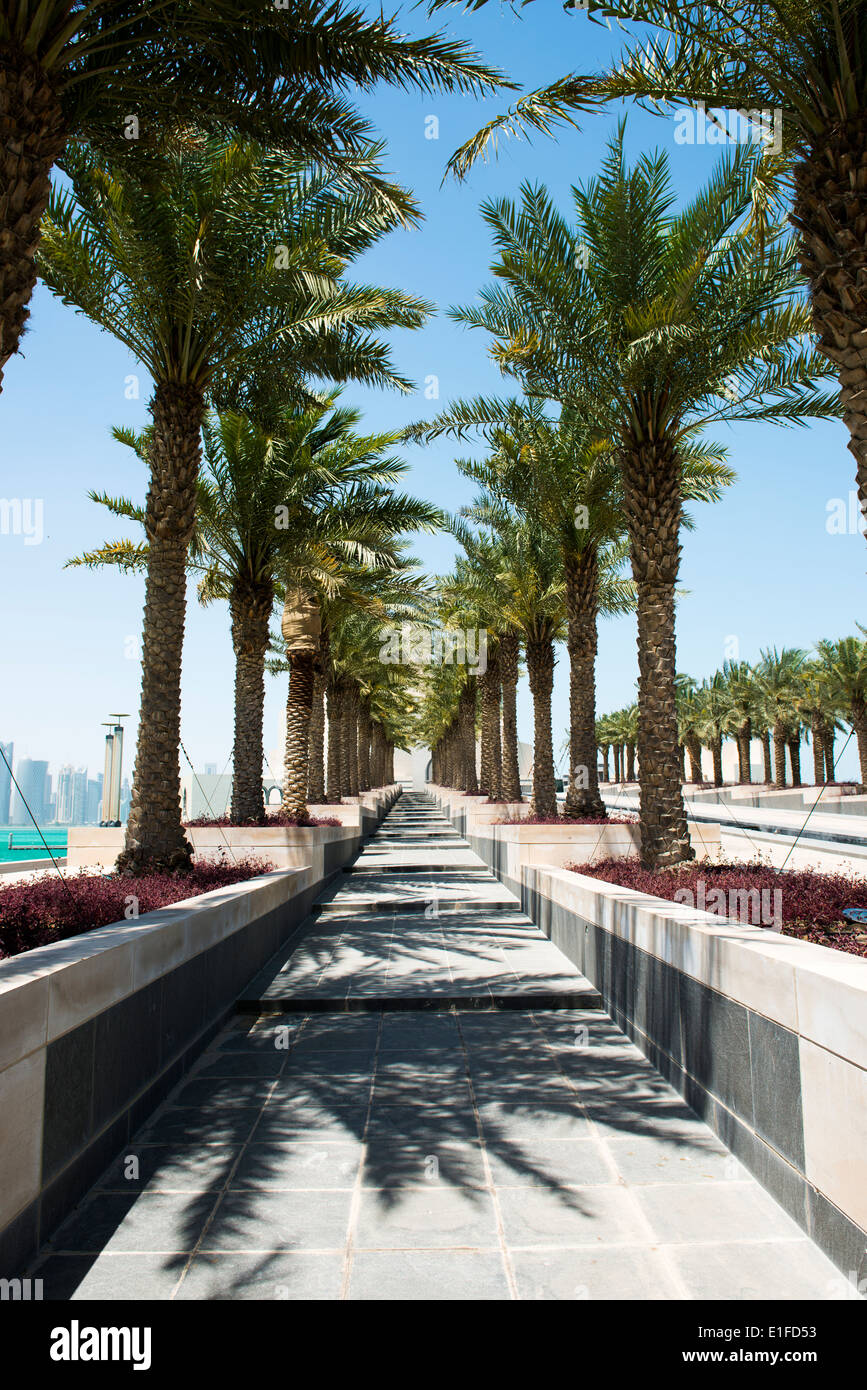 Beautiful line of palm trees leading to the entrance of the The beautiful museum of Islamic art in Doha Qatar. Stock Photo